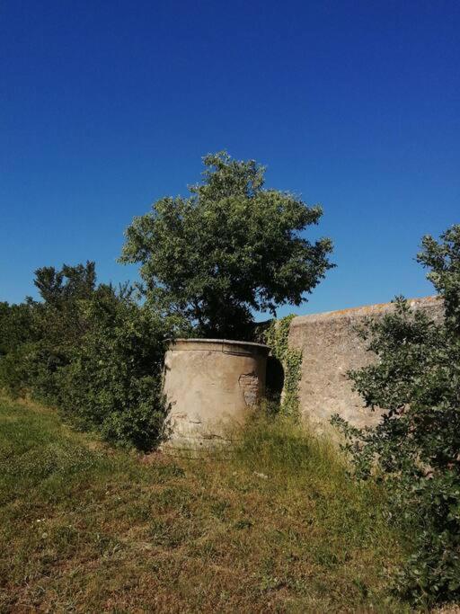 Le Soleil D Eugenie Appartement Dans Residence Avec Piscine Commune Pres De Carcassonne Olonzac Exteriör bild