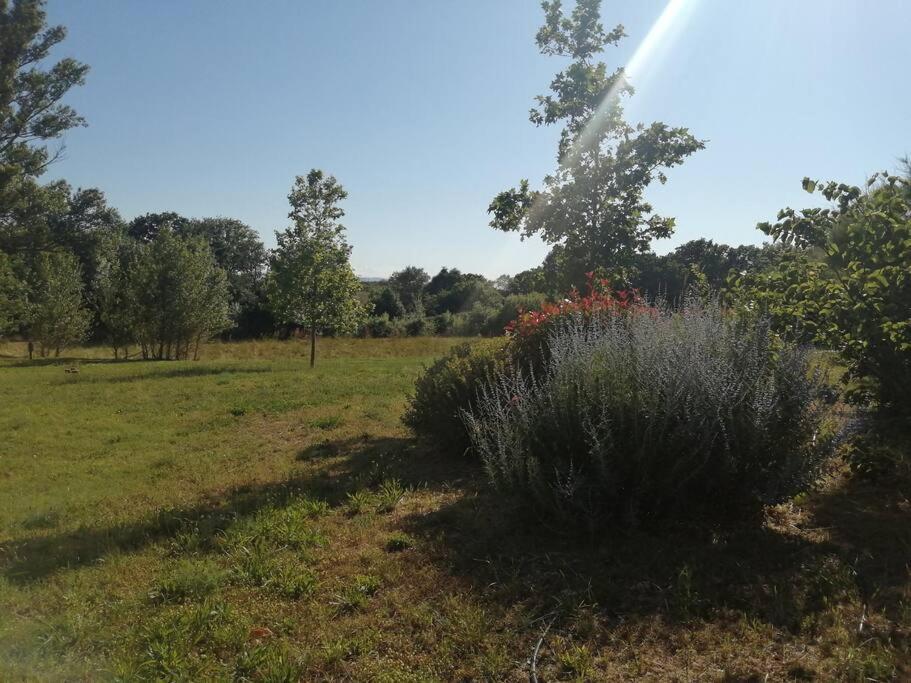 Le Soleil D Eugenie Appartement Dans Residence Avec Piscine Commune Pres De Carcassonne Olonzac Exteriör bild