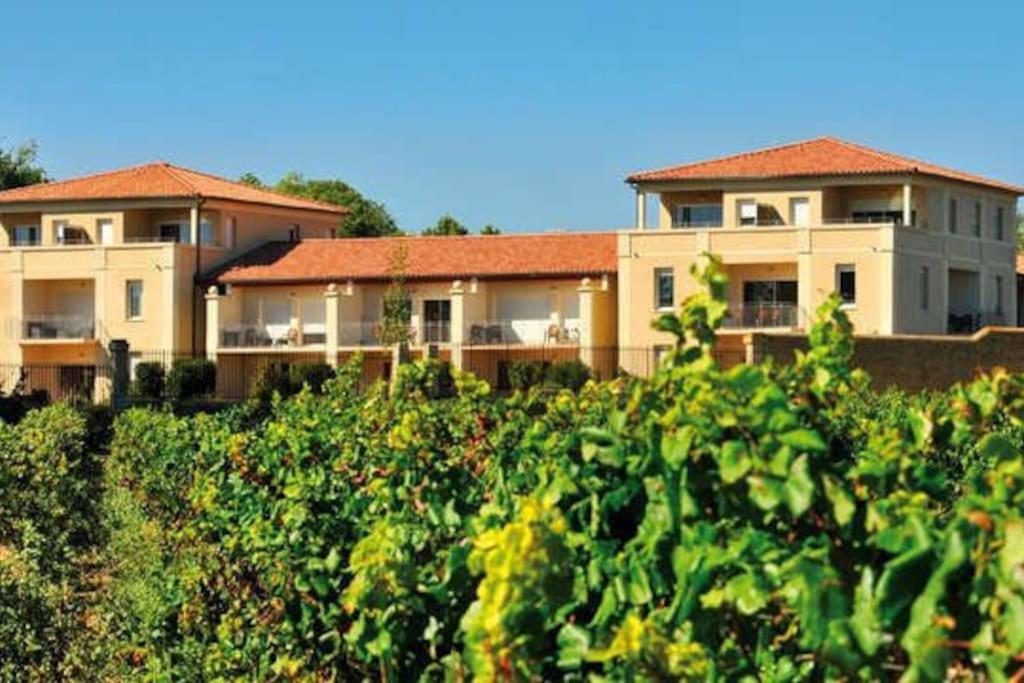 Le Soleil D Eugenie Appartement Dans Residence Avec Piscine Commune Pres De Carcassonne Olonzac Exteriör bild