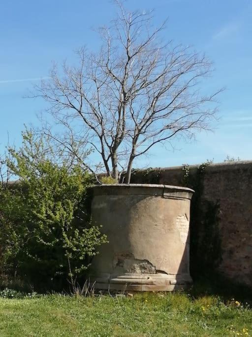 Le Soleil D Eugenie Appartement Dans Residence Avec Piscine Commune Pres De Carcassonne Olonzac Exteriör bild
