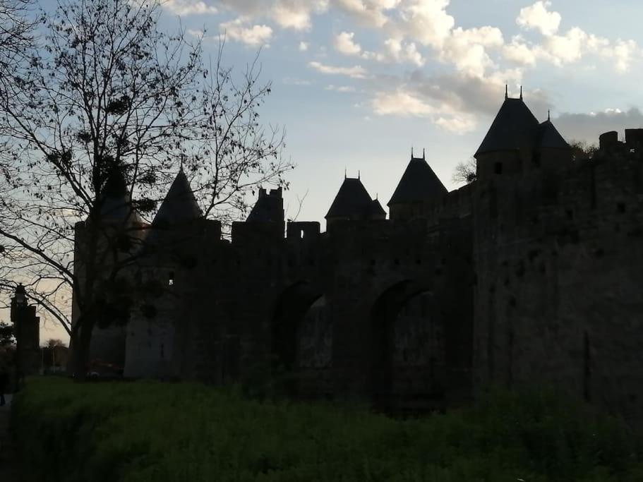 Le Soleil D Eugenie Appartement Dans Residence Avec Piscine Commune Pres De Carcassonne Olonzac Exteriör bild