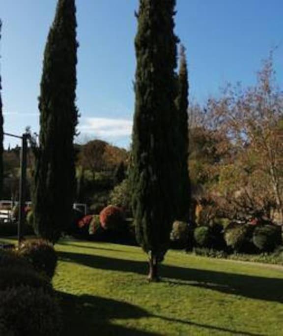 Le Soleil D Eugenie Appartement Dans Residence Avec Piscine Commune Pres De Carcassonne Olonzac Exteriör bild