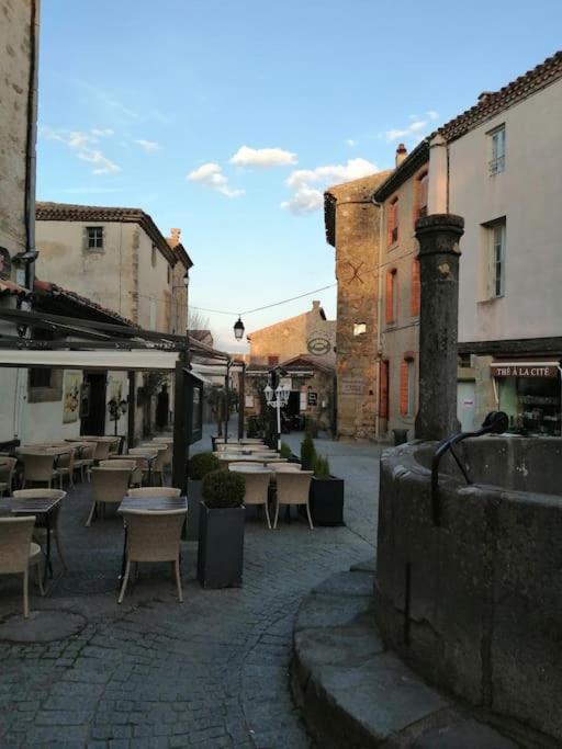 Le Soleil D Eugenie Appartement Dans Residence Avec Piscine Commune Pres De Carcassonne Olonzac Exteriör bild