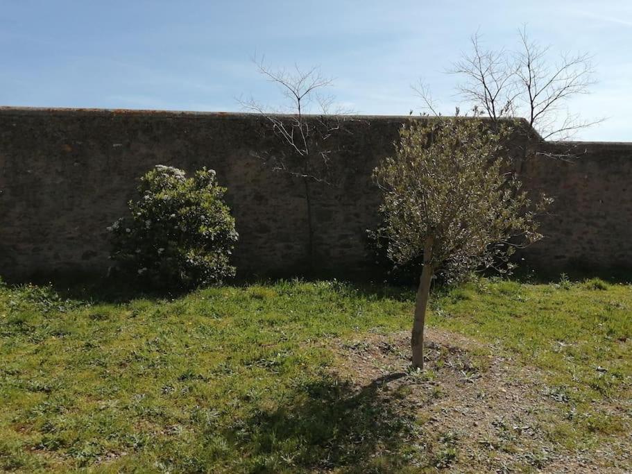 Le Soleil D Eugenie Appartement Dans Residence Avec Piscine Commune Pres De Carcassonne Olonzac Exteriör bild